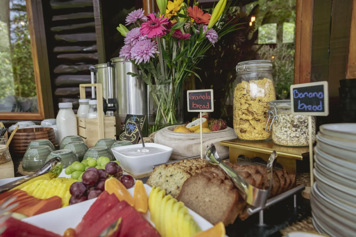 Delicious spread of food