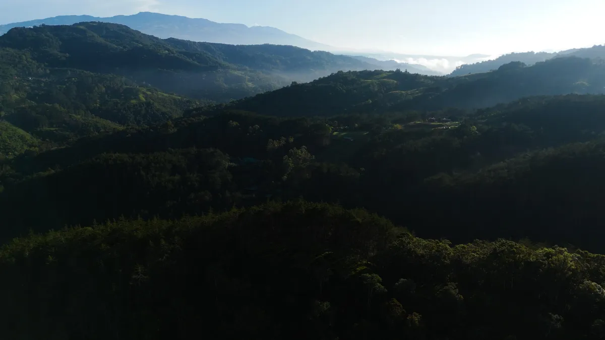 Cloud Forest Mountain