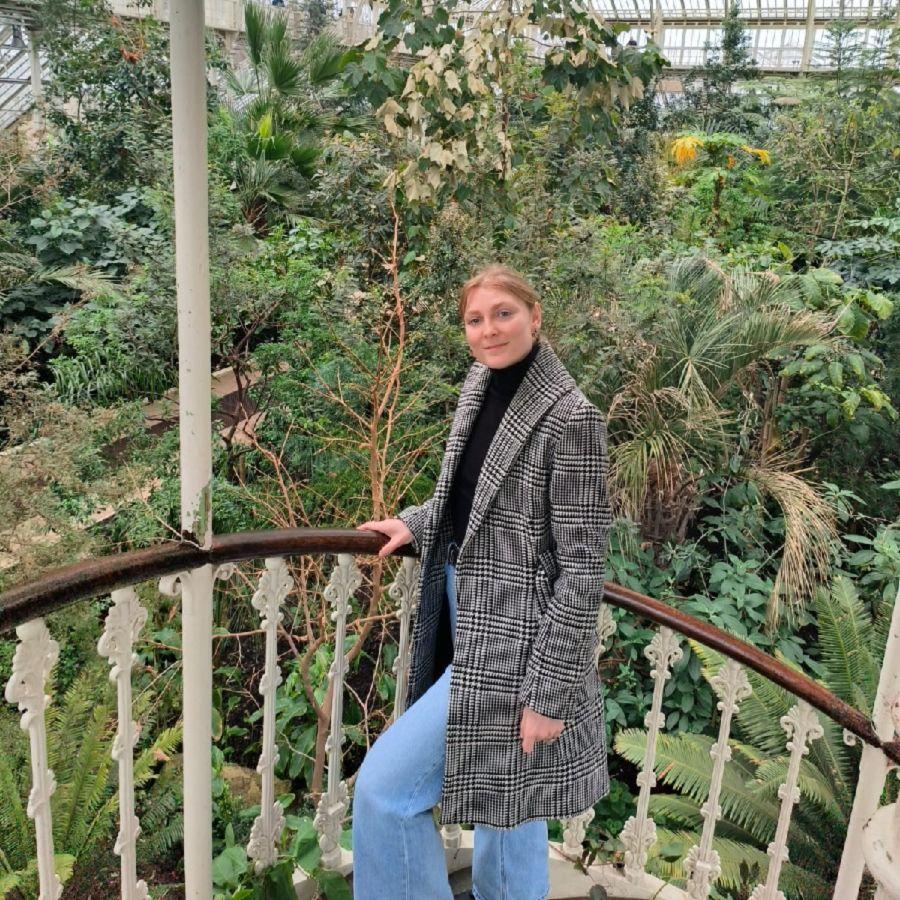 WISE Seal of Excellence