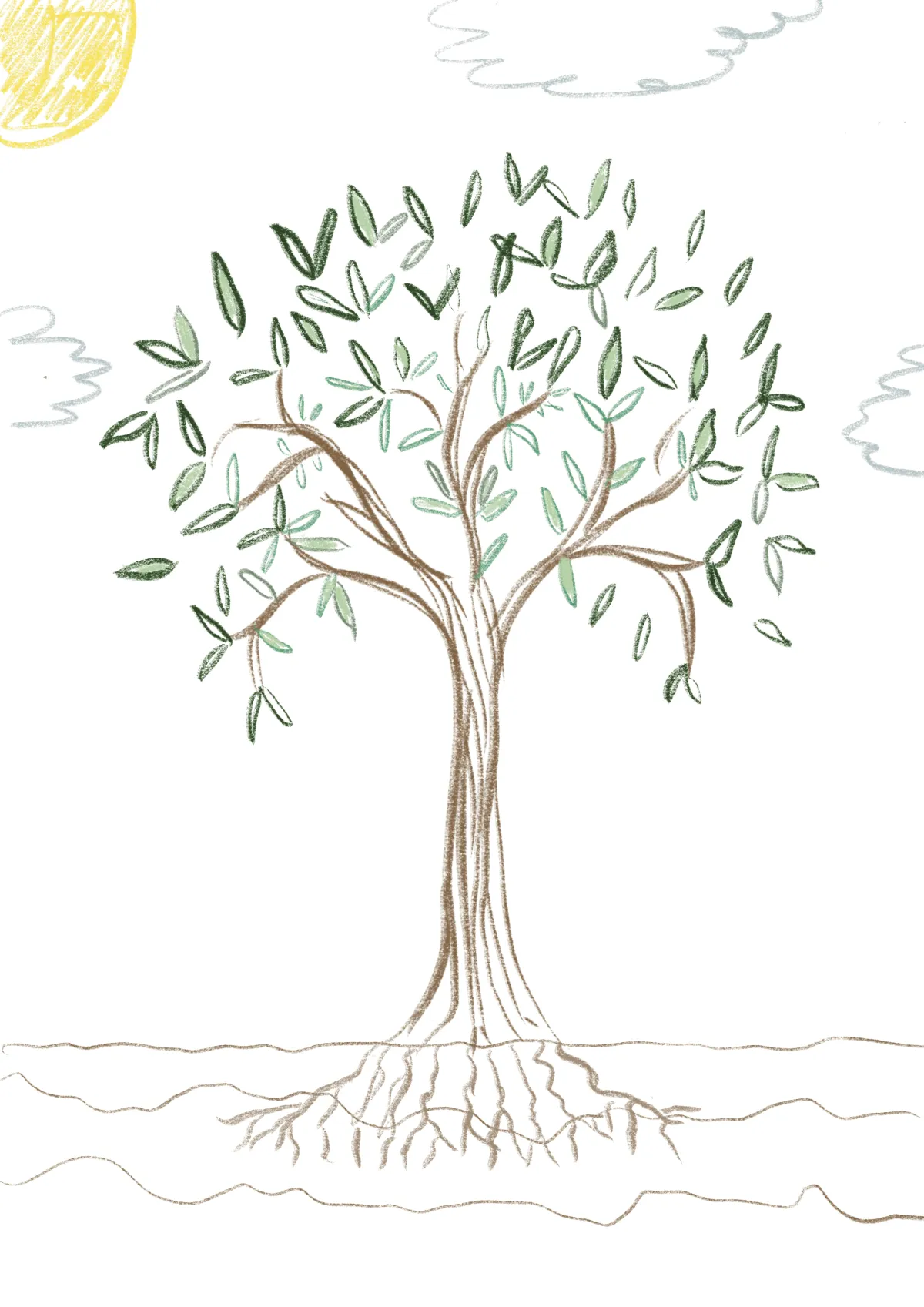 Formación de liderazgo WISE para educadores