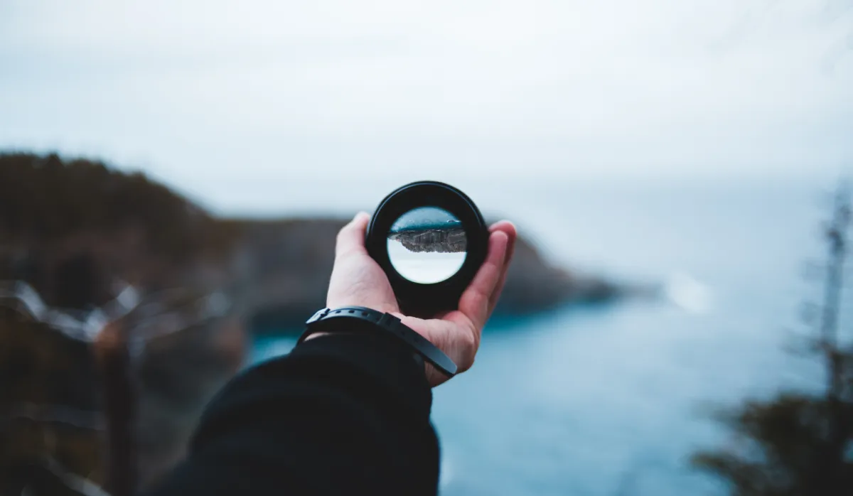 Observar para entender