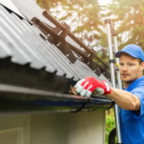 Gutter Cleaning in Asotin County