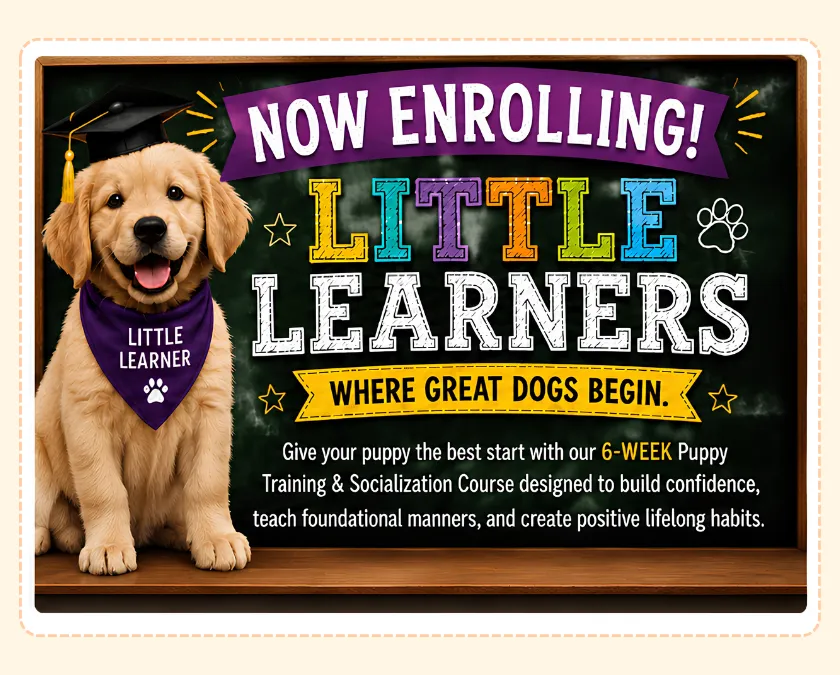Training Flyer