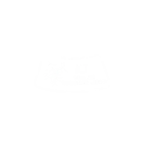 Auto Detailing Logo