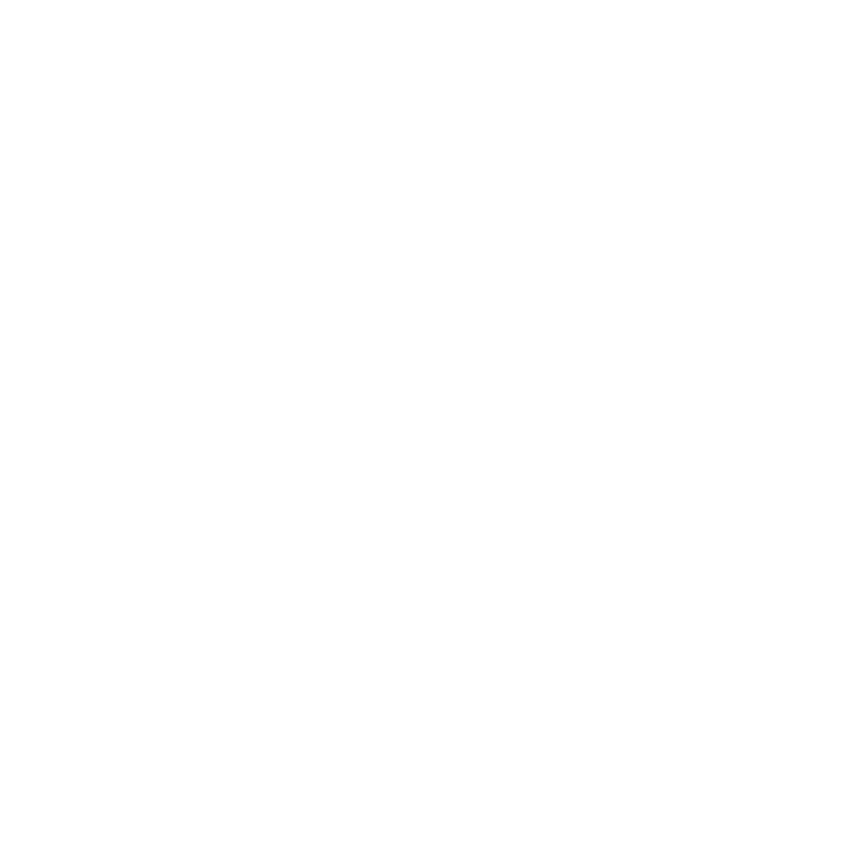 Vayl Logo
