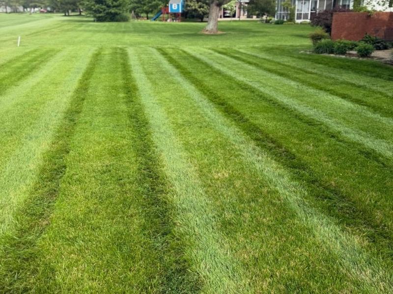 Lawn mowing service in frankfort, ky by precision lawn care