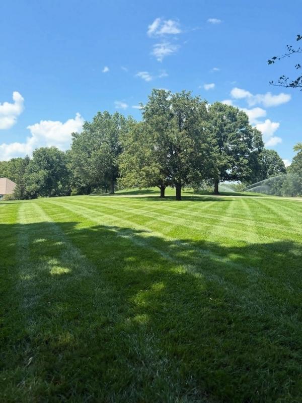 Lawn Fertilization & Weed Control Service in frankfort, ky