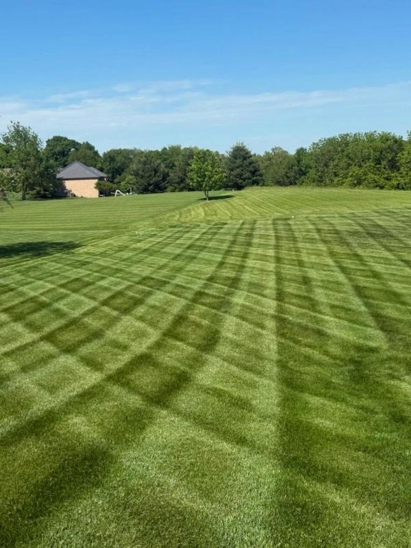 residential lawn treatment programs in frankfort, ky