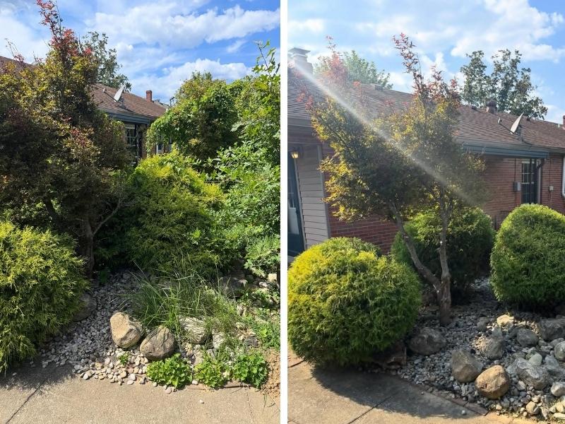 Lawn mowing service in frankfort, ky by precision lawn care