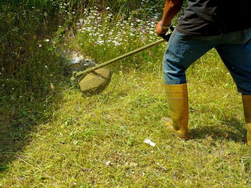 string trimming in frankfort, ky