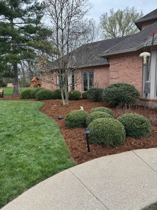 spring cleanups in frankfort, ky