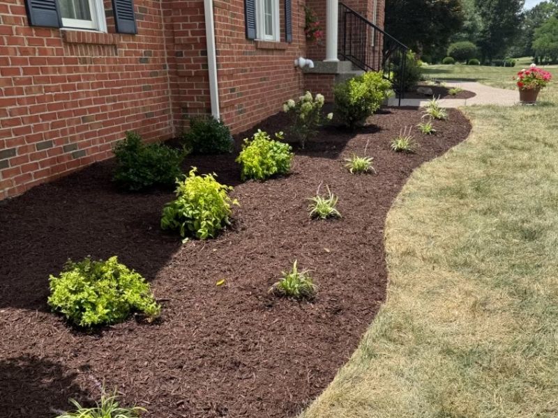 Plant Installation in frankfort, ky by precision lawn care