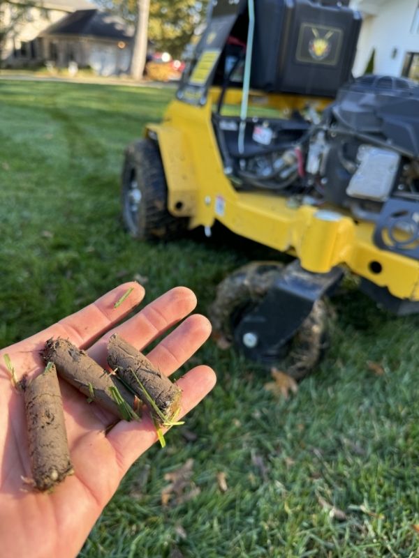 Core aeration and overseeding in frankfort, ky