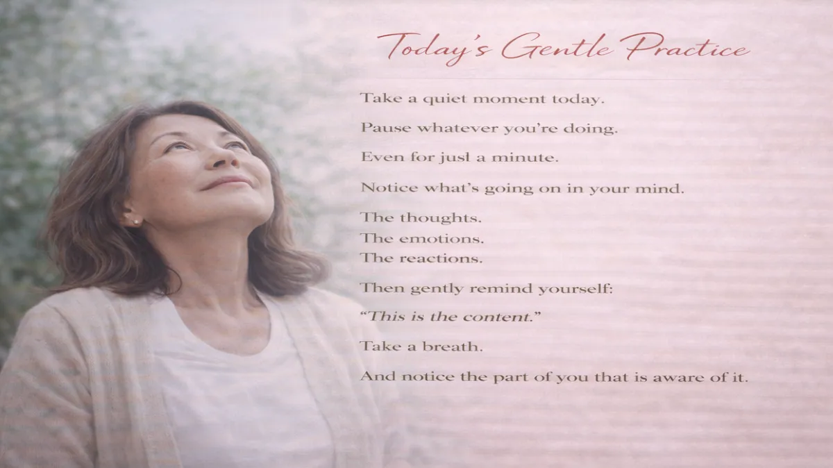 Day 102: You Are Not the Content of Your Life