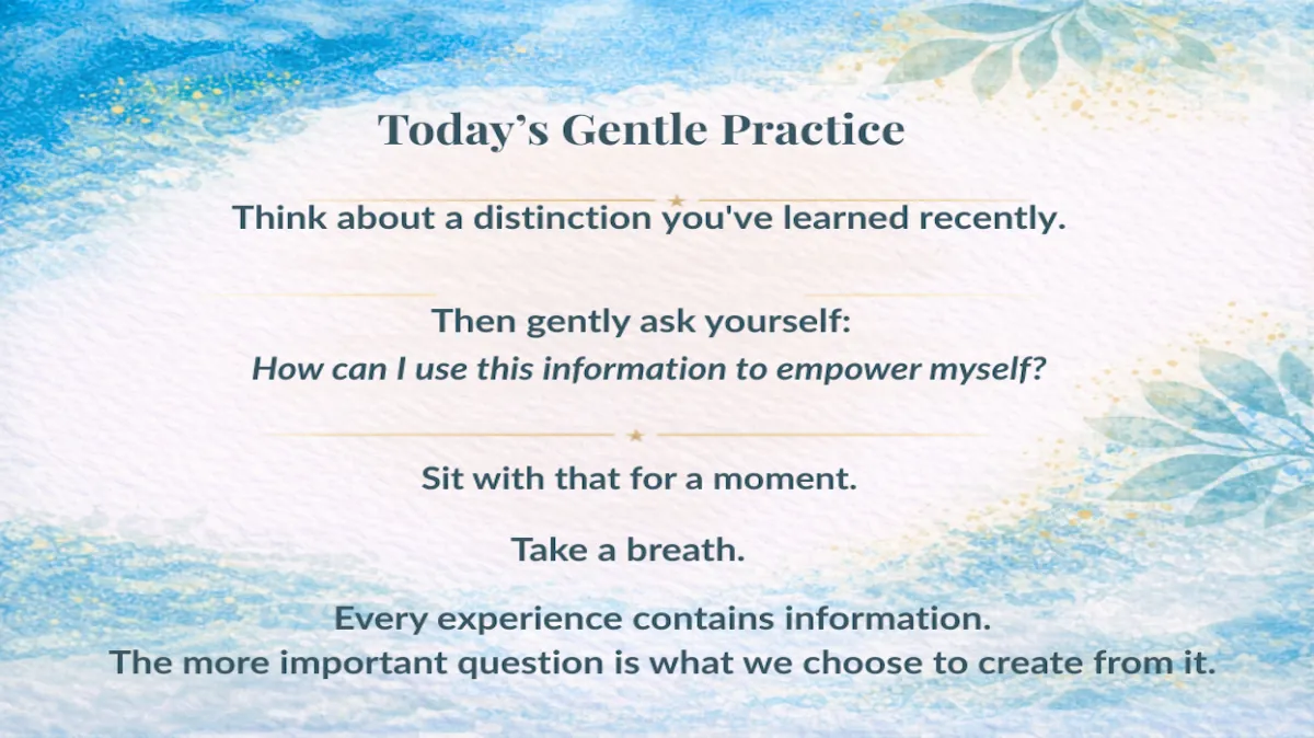 Day 175: Every Experience Gives Us Information