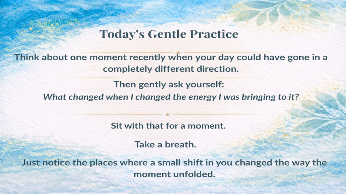 Day 206: The Day Followed My Frequency
