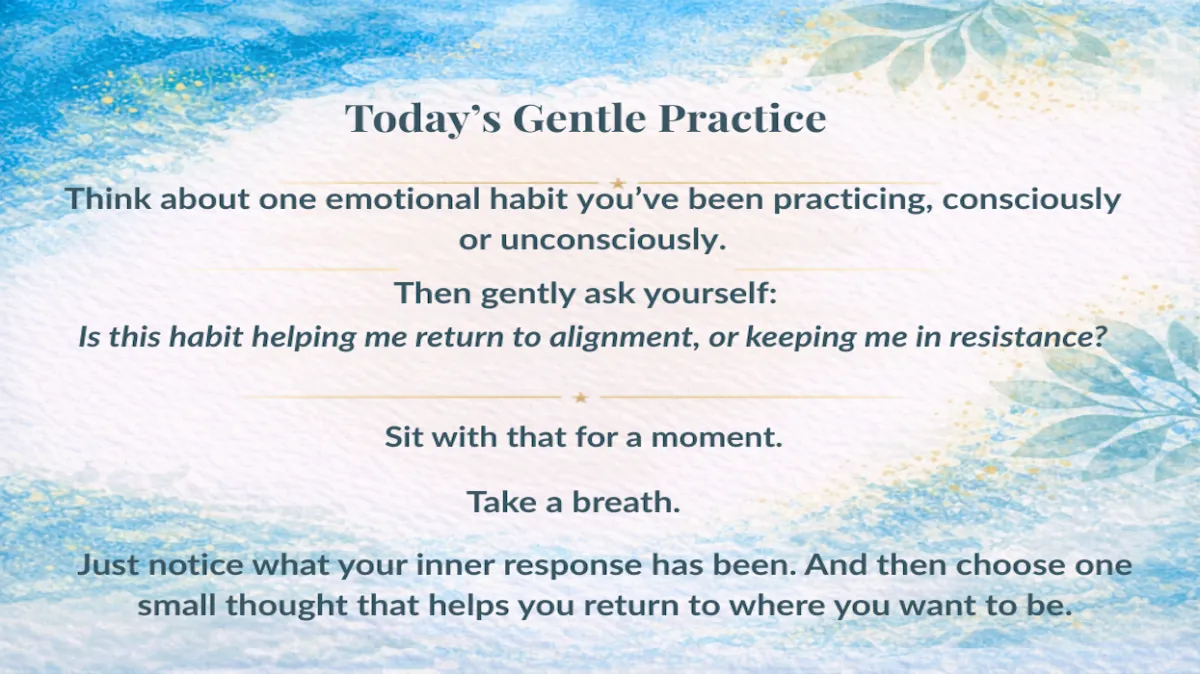 Day 209: The Muscle Memory of Appreciation