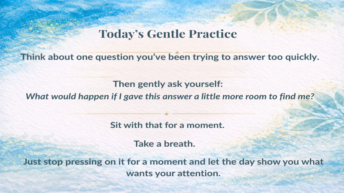 Day 213: Let the Day Show You
