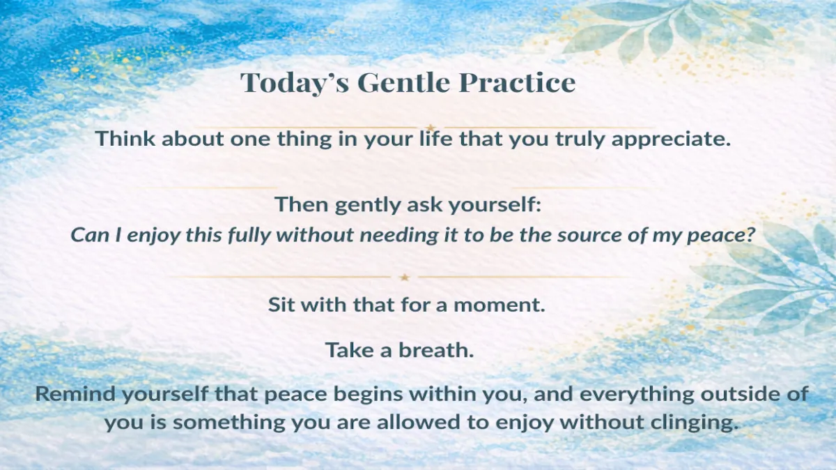 Day 220: Appreciation Without Attachment