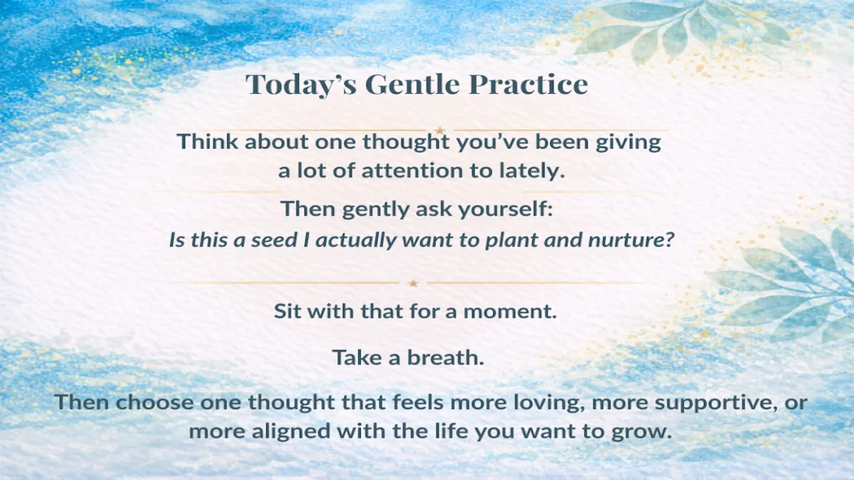 Day 224: What Are You Planting?
