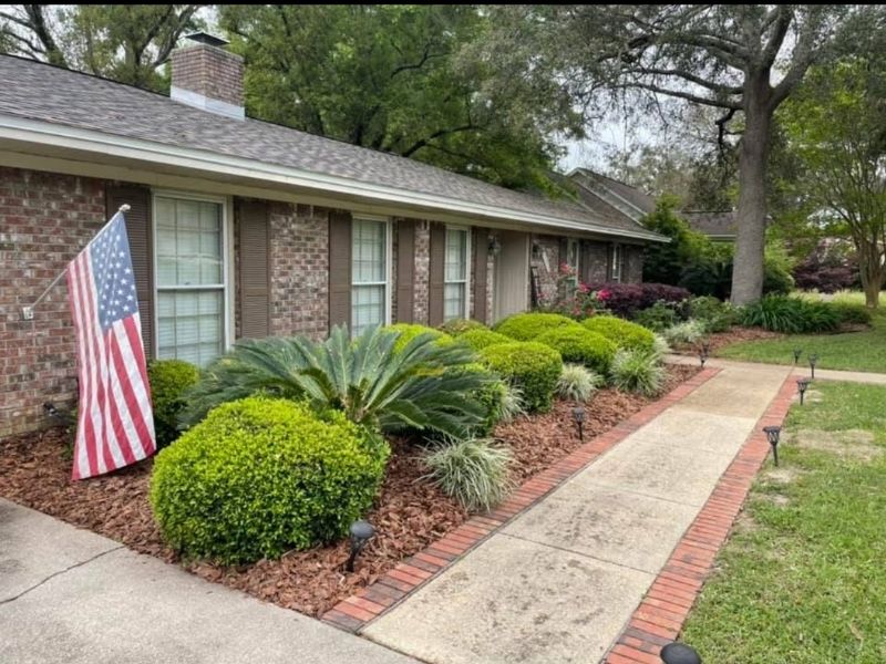 Bush and shrub pruning services in Pensacola, FL by Green Standard Lawn and Landscape