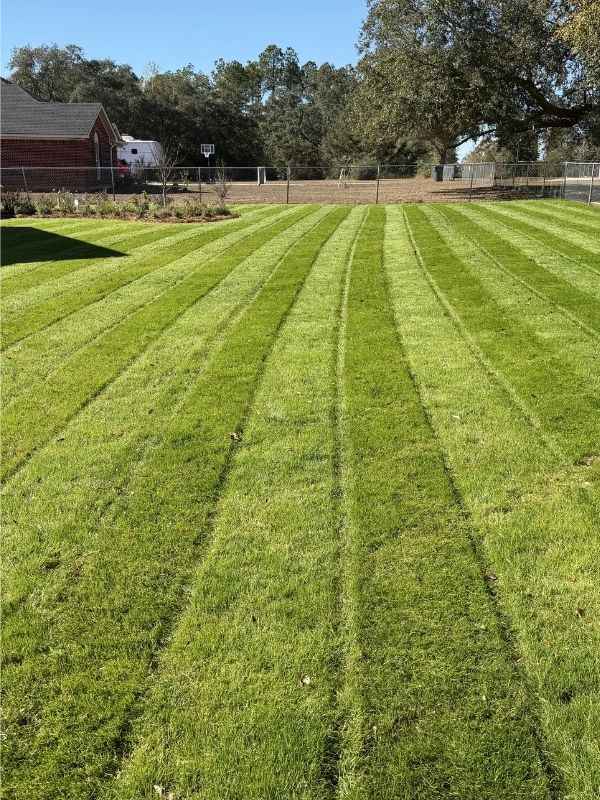 Green Standard lawn mowing in Pensacola, FL