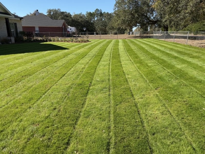 Photo of healthy green lawn serviced by Green Standard Lawn and Landscape in Pensacola, FL
