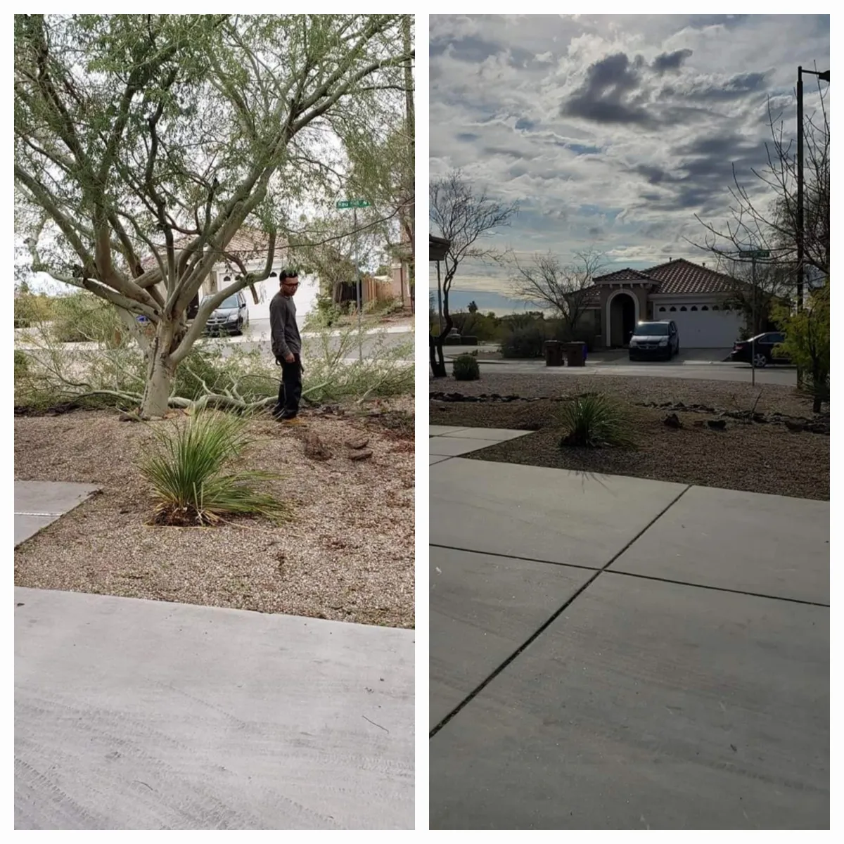 Queen Creek Artificial Turf Installation