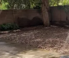Queen Creek in Landscape Maintenance