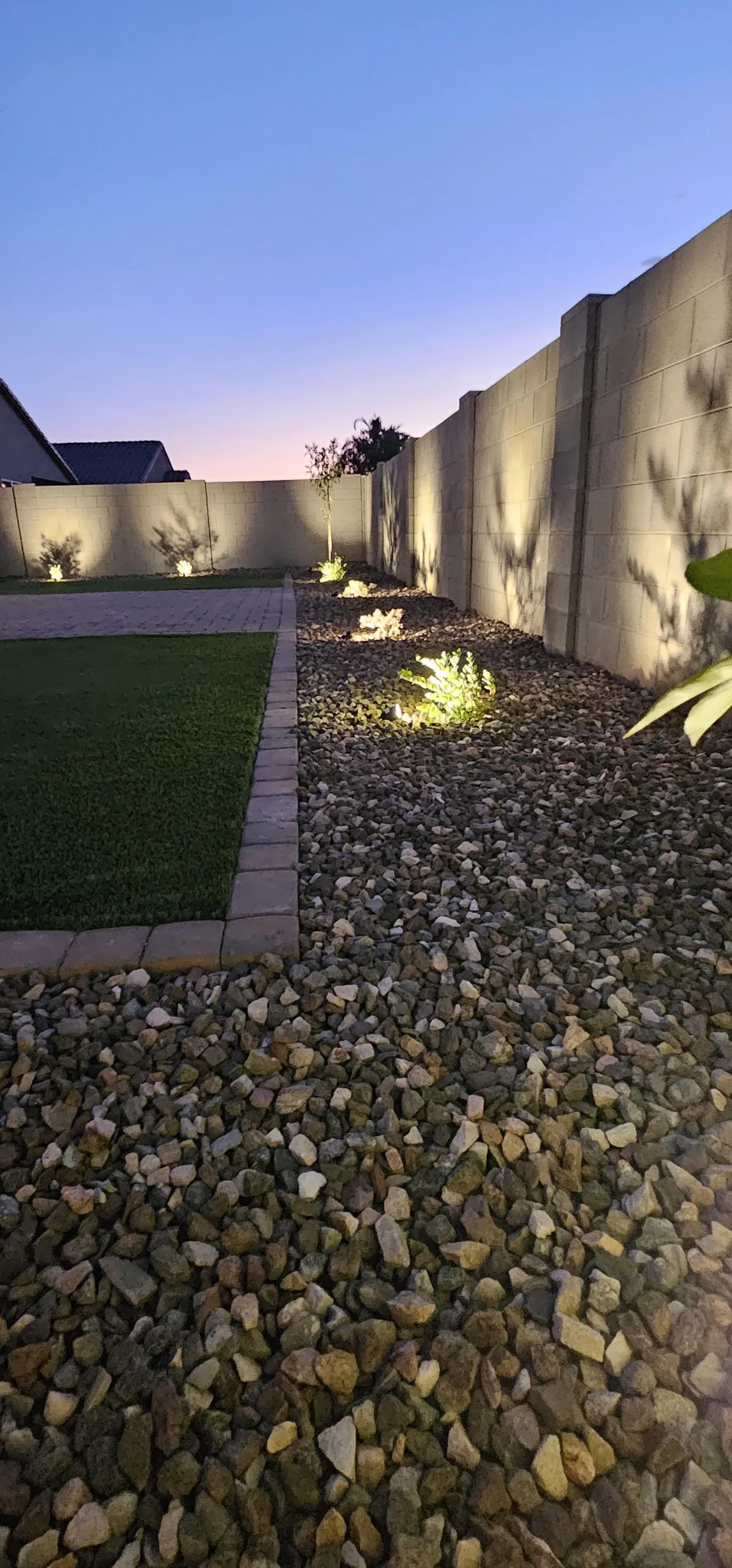 Artificial Turf Installation in Queen Creek