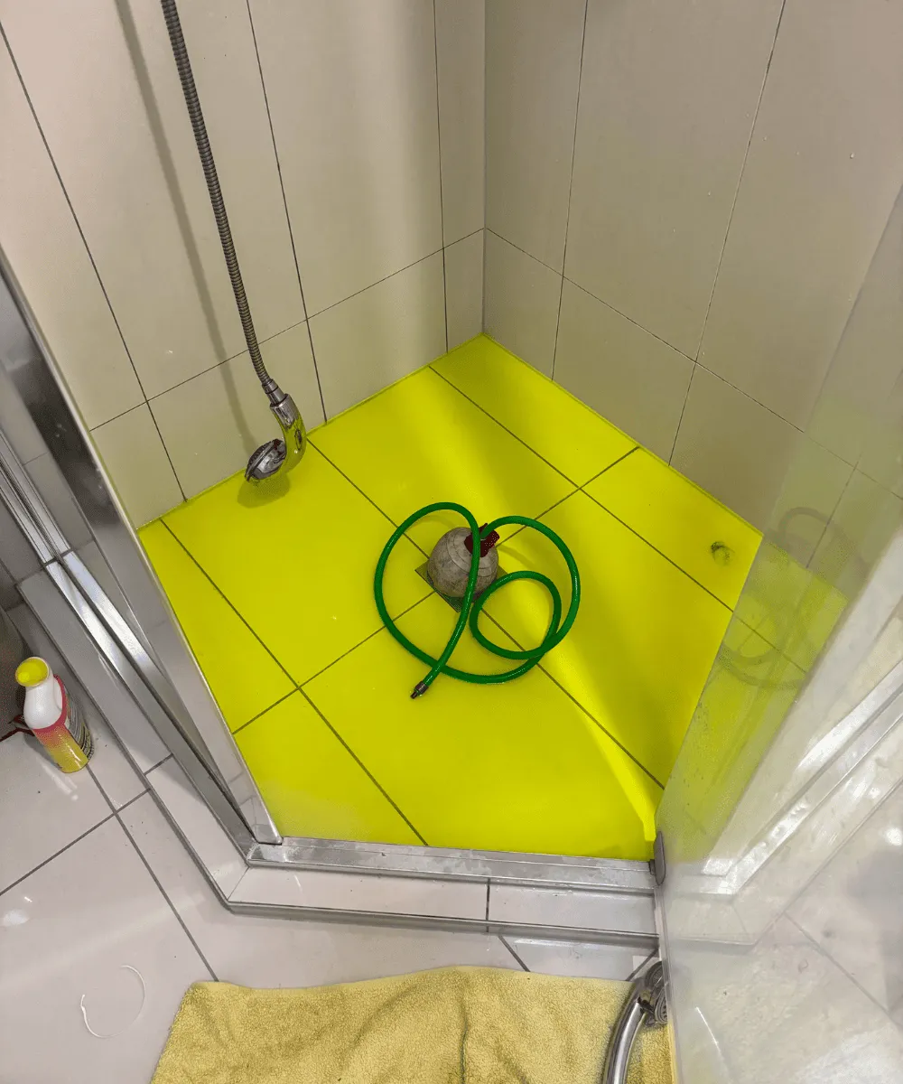 Bathroom Leak Detection