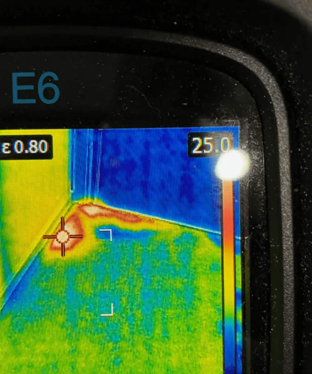 Coorparoo Water Leak Detection