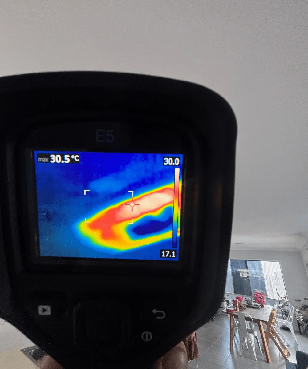 Thermal Leak Detection Annerley