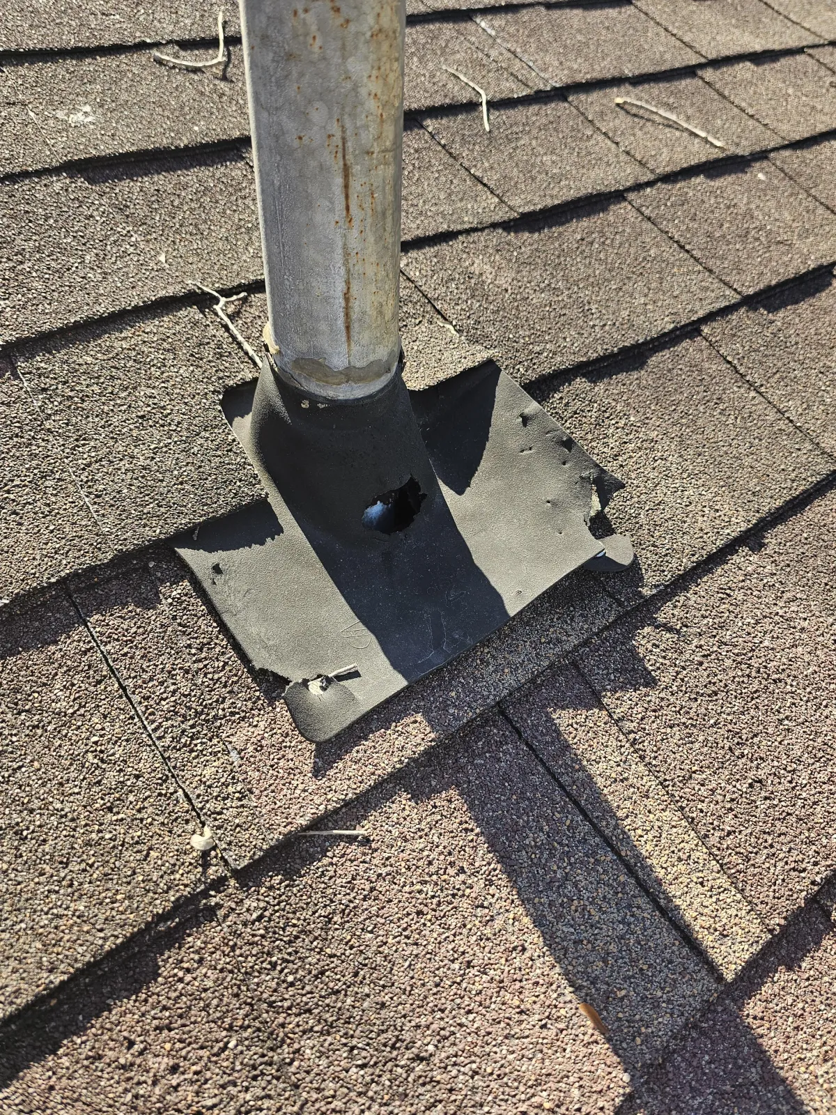 Squirls eated a hole in a roofboot