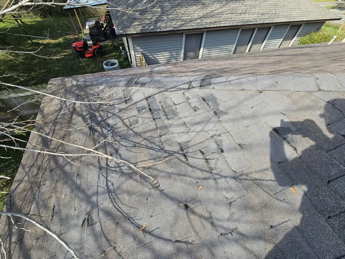 damaged roof from a tree rubbing