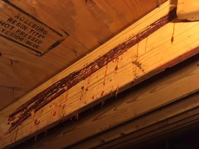 wood sapping from heat