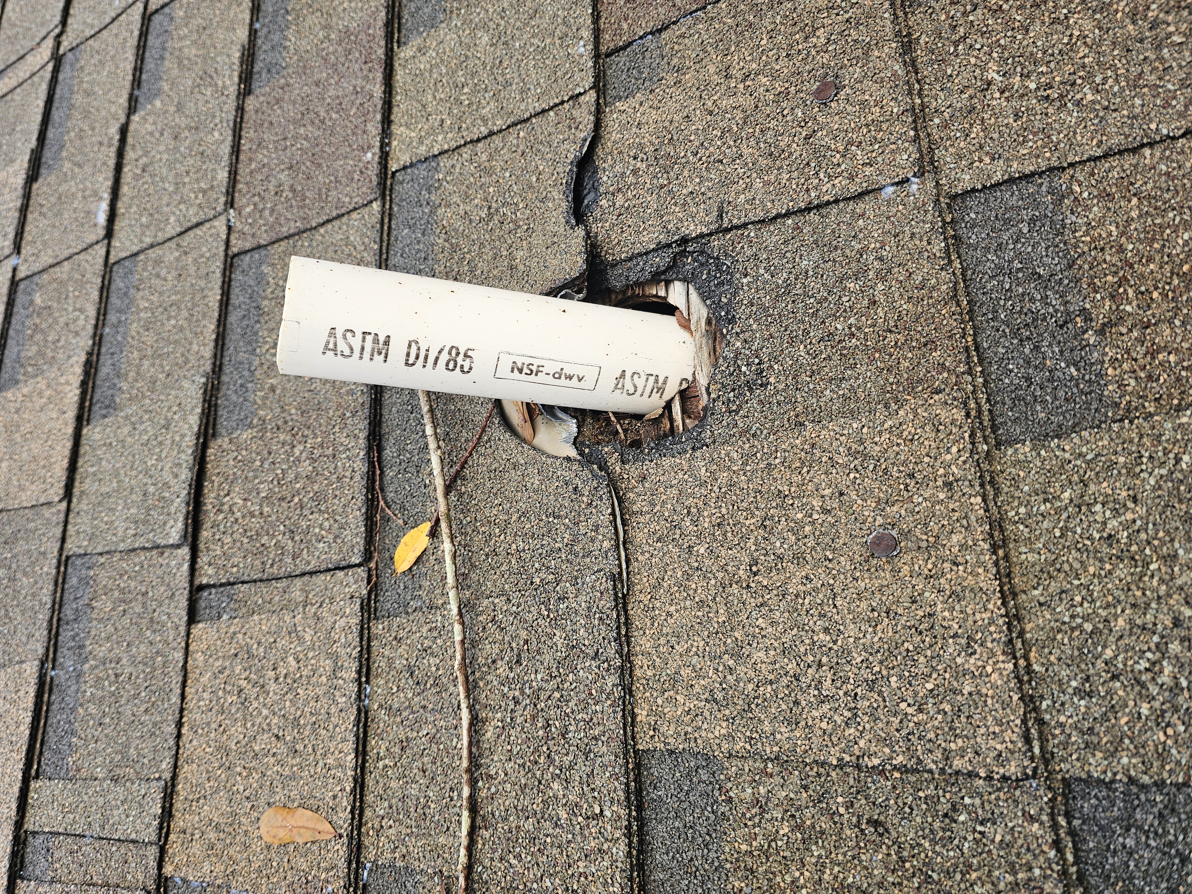 squirls have eaten neary all the leadpipe flashing