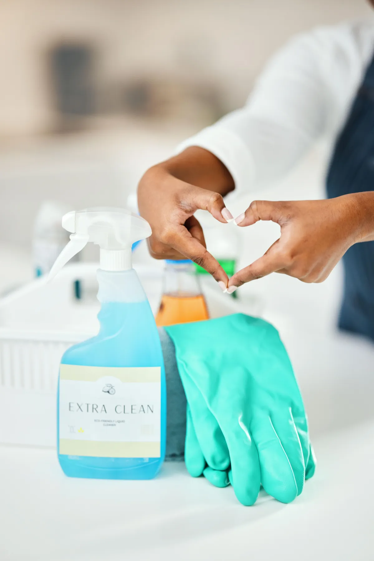 Cleaning Services Raleigh, NC
