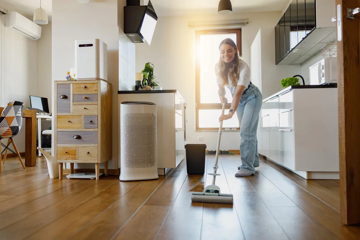 Move In & Out Cleaning 