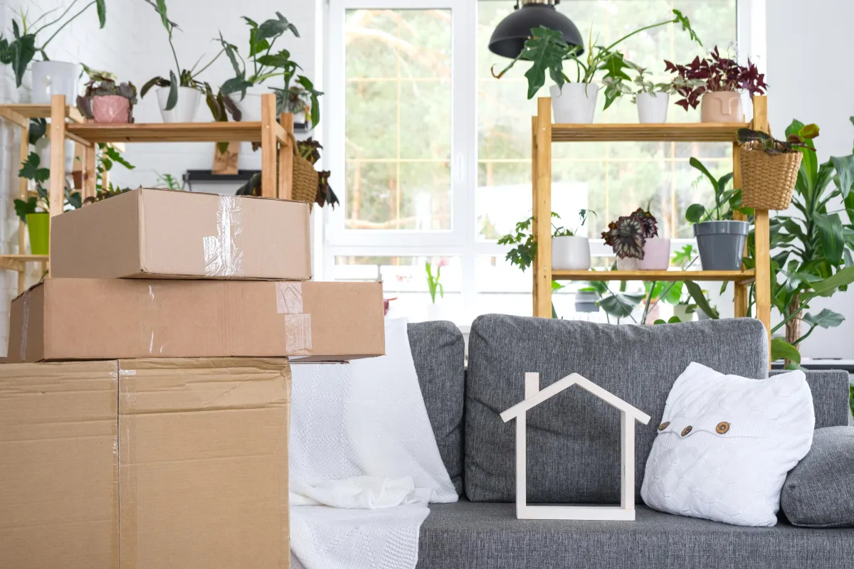  Airbnb Cleaning