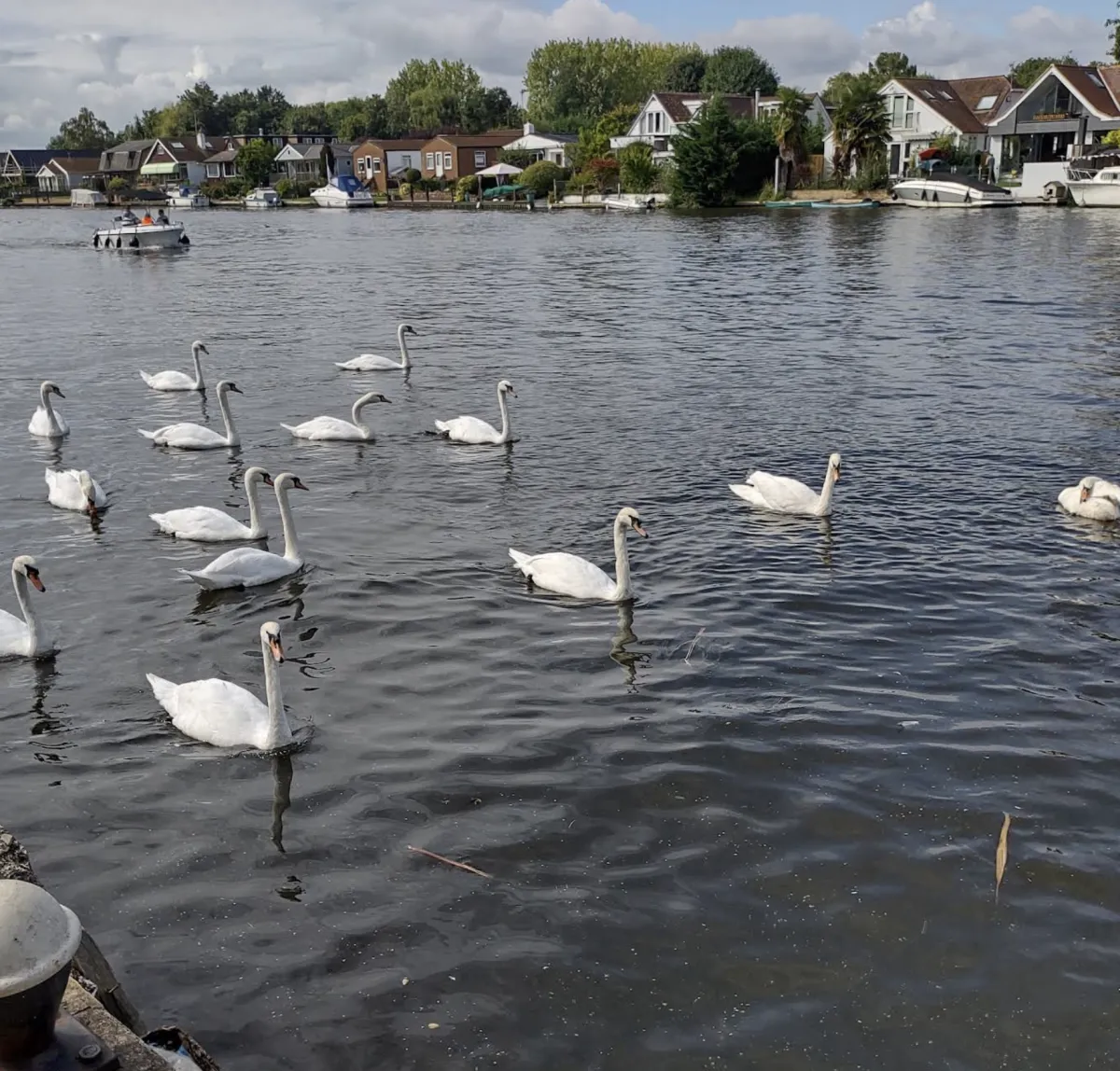 Rock Guitar Lessons For Intermediate Guitarists