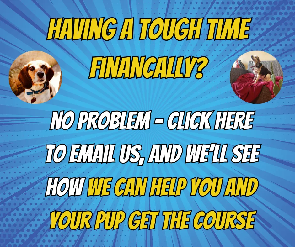 help your dog live longer - financial aid for course