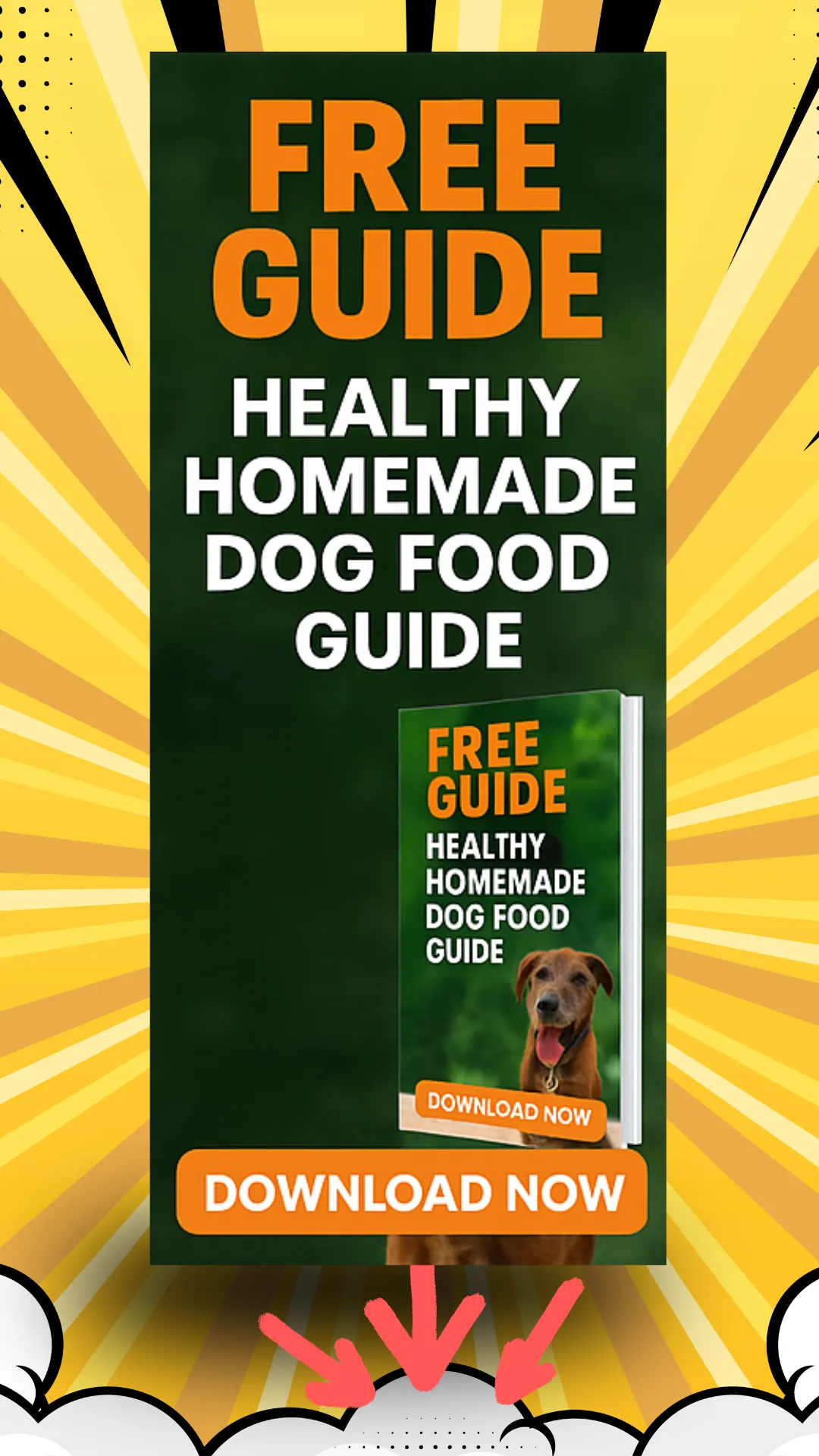 healthy homemade dog food free guide download graphic