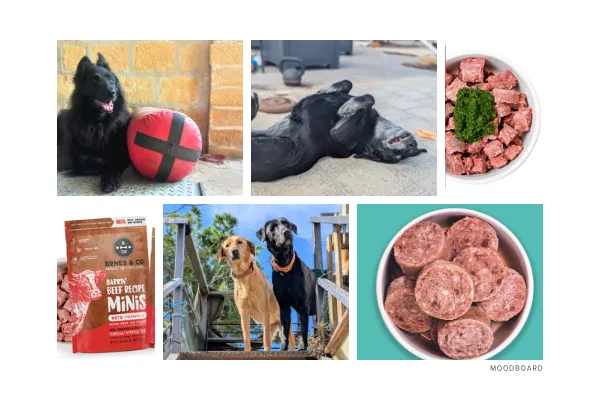 Bones and Co Dog Food Review