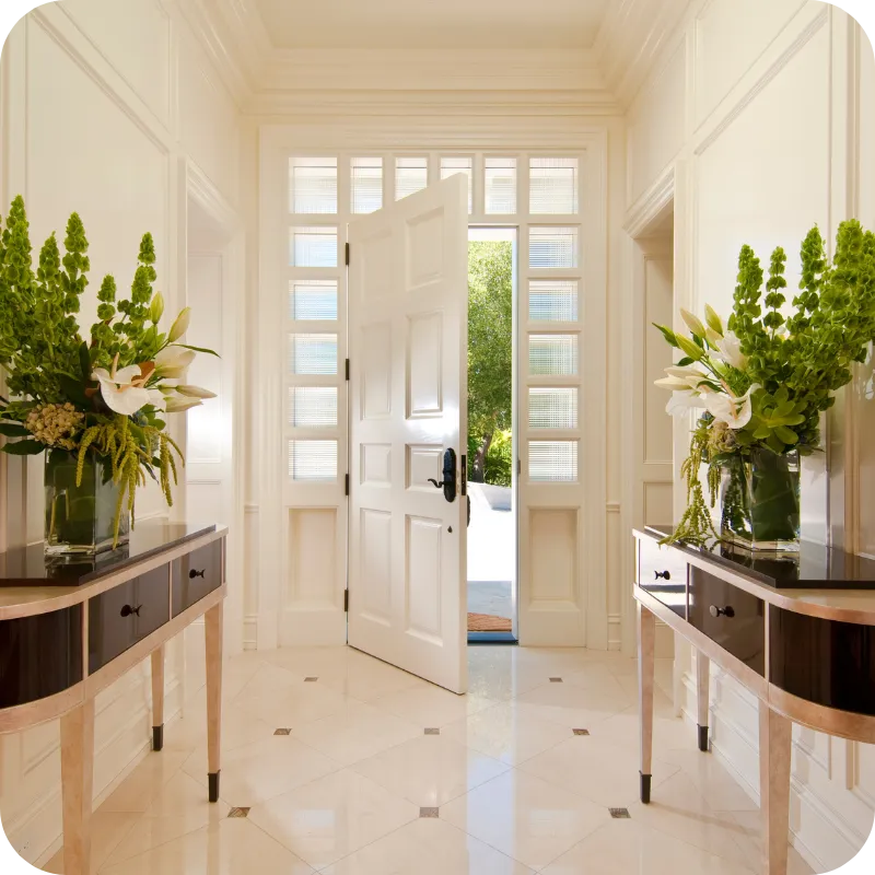 Why Mold Assessments are Critical in Miami
