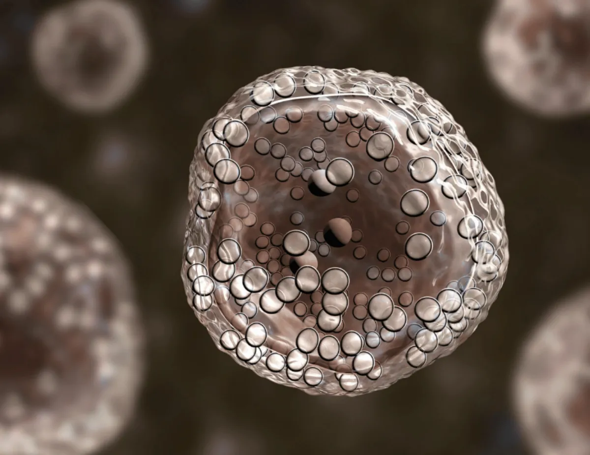 black berries on white ceramic plate