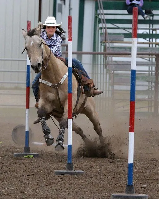 pole bending a part of western sports