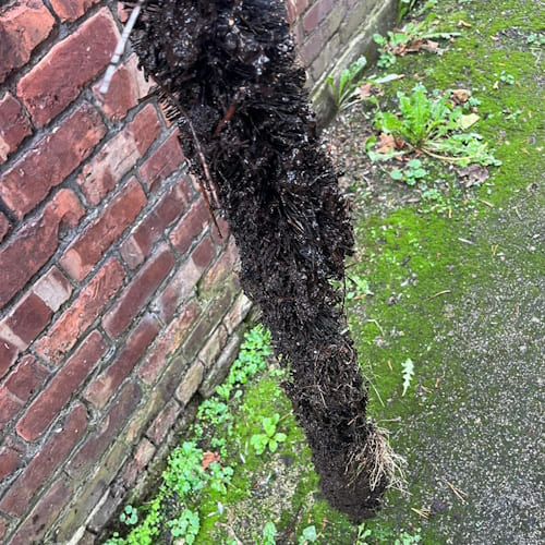 Spital Gutter Cleaning