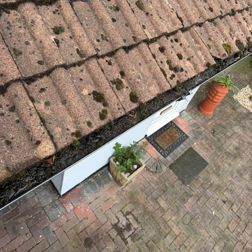 Window Cleaning 