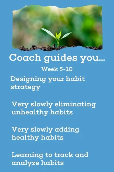 Emery Coaching Habit-Building Guide - Weeks 5-10. Design Habit Strategies, Eliminate Unhealthy Habits, Add Healthy Habits Slowly, and Learn Habit Tracking for Sustainable Health Transformation.